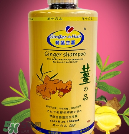 琴葉洗發(fā)水是哪國(guó)的？琴葉洗發(fā)水是幾線品牌