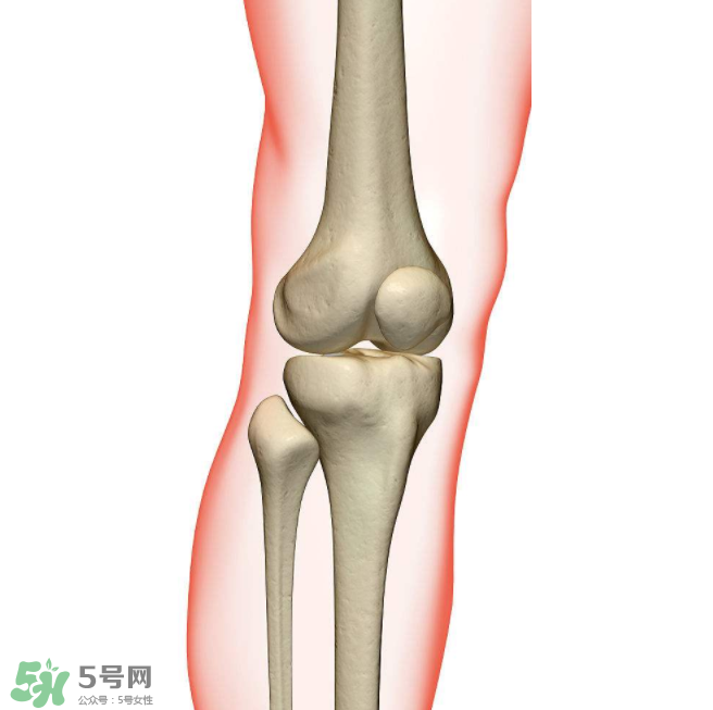風(fēng)濕不治療可以治愈嗎？早期風(fēng)濕能自愈嗎？