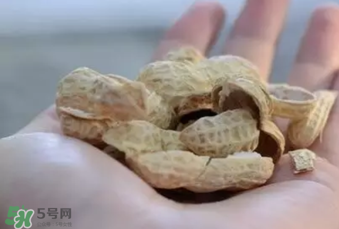 花生發(fā)芽后營(yíng)養(yǎng)如何？花生殼煮水喝有什么用？