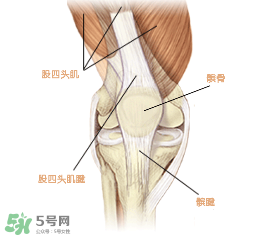 風濕可以吃螃蟹嗎？得了風濕能吃螃蟹嗎？