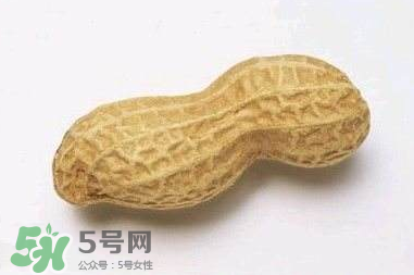 花生有哪些種類型？花生怎么栽培管理？