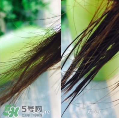 ts護(hù)發(fā)素怎么樣？ts護(hù)發(fā)素多少錢(qián)