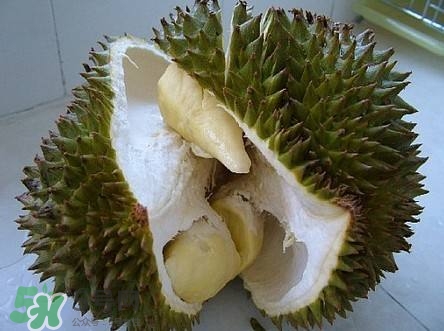 榴蓮和雞蛋能一起吃嗎？榴蓮和什么不能一起吃？
