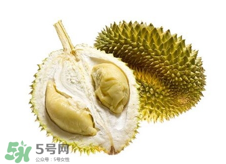 榴蓮籽能種嗎？榴蓮籽怎么種小盆栽？