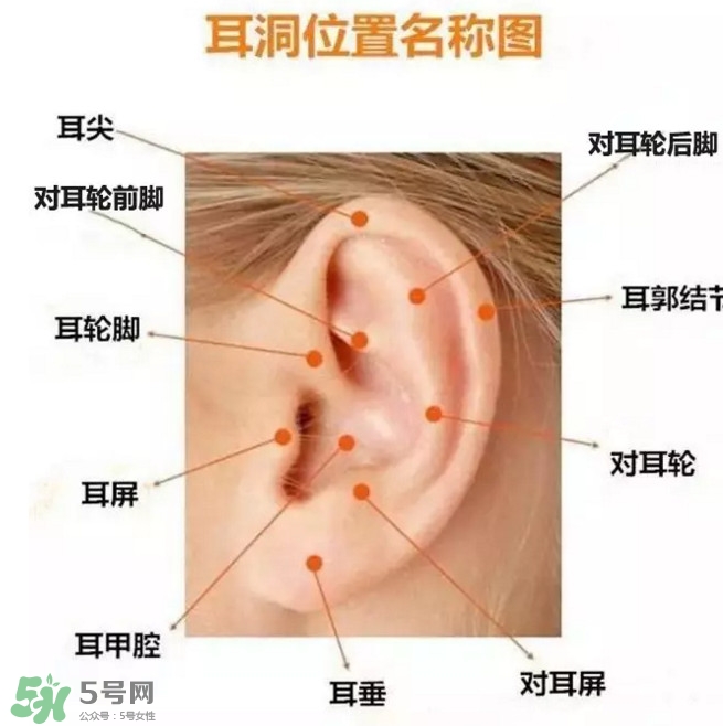 打耳洞多少錢一對？打耳洞相當(dāng)于什么疼