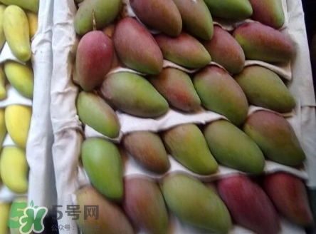芒果有哪些品種？哪種芒果最好吃？
