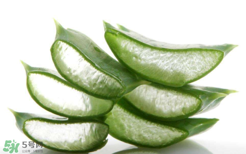 敏感肌能使用蘆薈護膚嗎？蘆薈膠有什么用？