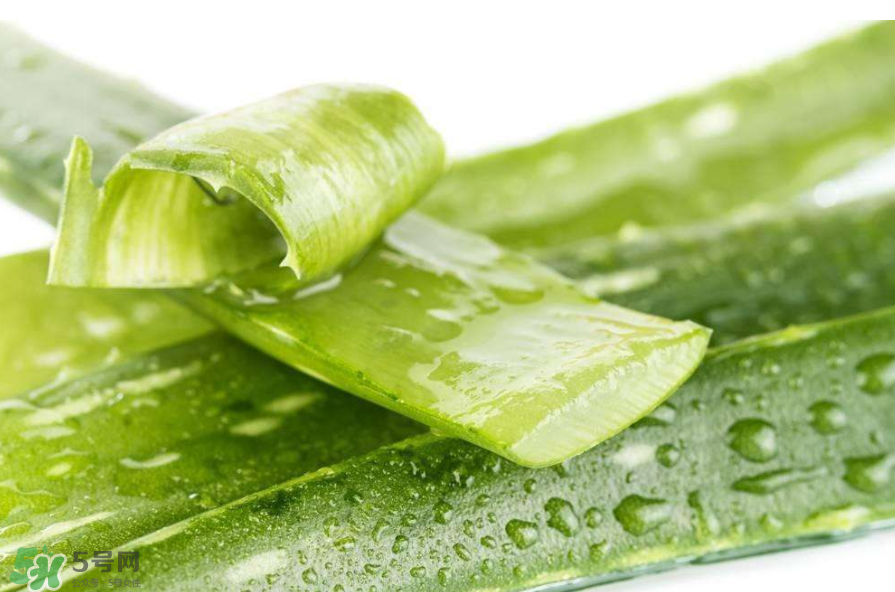 敏感肌能使用蘆薈護膚嗎？蘆薈膠有什么用？