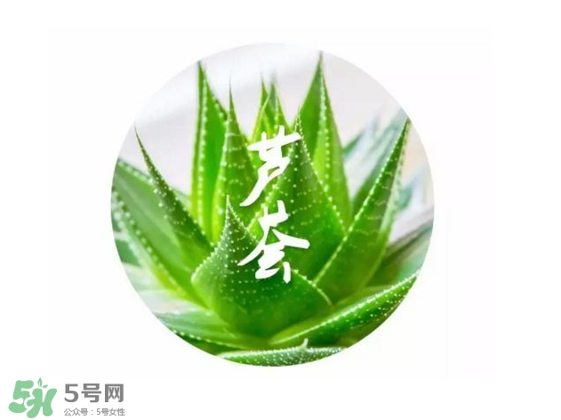 蘆薈膠的醫(yī)療作用有哪些？蘆薈膠的使用方法有哪些？