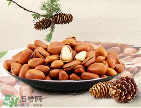 松子什么時(shí)候成熟？松子什么時(shí)候吃最好