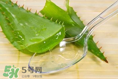 新鮮的蘆薈怎么吃？蘆薈的多種吃法