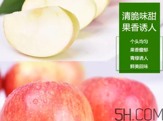 美八蘋果價格多少錢？美八蘋果多少錢一斤？