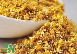 桂花茶怎么泡？桂花茶泡水喝的禁忌 