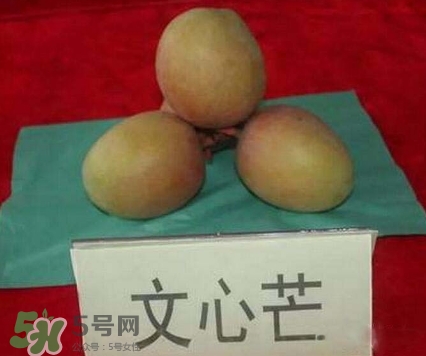 芒果有哪些品種？哪種芒果最好吃？