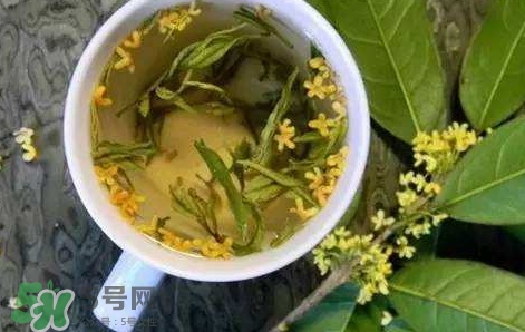 桂花茶怎么泡好喝？桂花茶怎么制作？