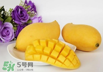 芒果有哪些品種？哪種芒果最好吃？