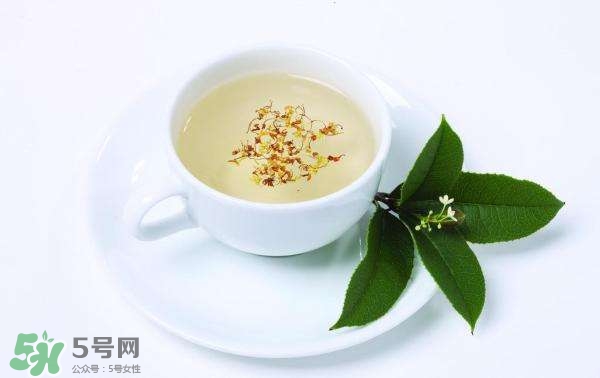 桂花茶怎么泡？桂花茶泡水喝的禁忌 