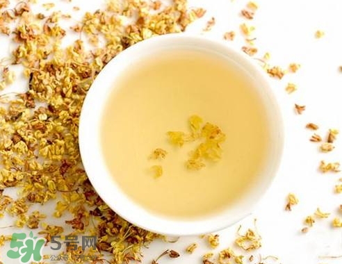 桂花茶怎么泡好喝？桂花茶怎么制作？