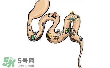 螺旋藻能治胃病嗎？有胃病日常需要注意什么？