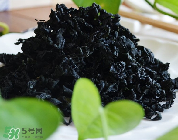 螺旋藻是海帶嗎？螺旋藻是海藻嗎？