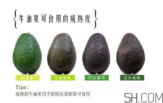 牛油果和香蕉一起能多吃嗎？牛油果挑什么樣的好？
