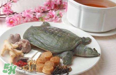 腳魚是什么？腳魚和烏龜?shù)膮^(qū)別