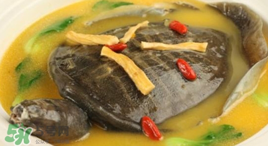 腳魚(yú)有靈性嗎？腳魚(yú)吃了有什么好處