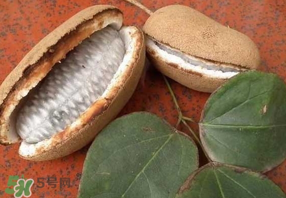 八月瓜能放冰箱嗎？八月瓜怎么保存？