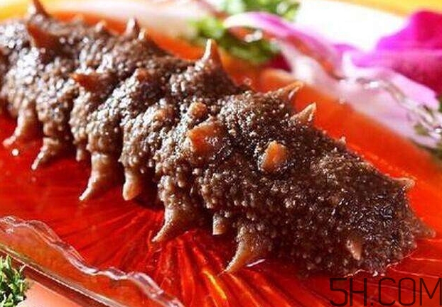 海參能和西紅柿一起吃嗎？海參和什么一起吃最好？