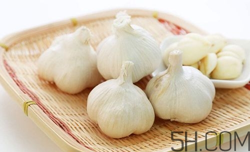 大蒜泡酒治什么??？大蒜泡酒有什么好處？