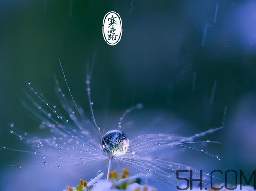 2017年寒露會下雨嗎？寒露下雨好嗎？