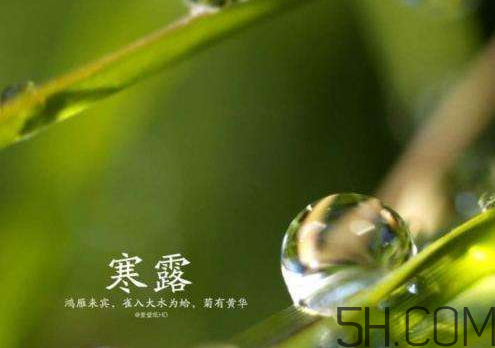 2017年寒露會下雨嗎？寒露下雨好嗎？