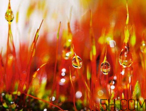 2017年寒露會下雨嗎？寒露下雨好嗎？