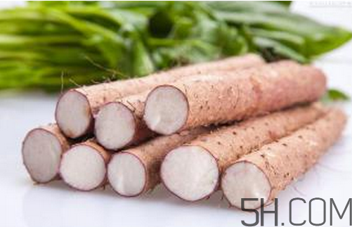 山藥和白蘿卜可以一起燉湯嗎？冬天吃山藥的五大好處