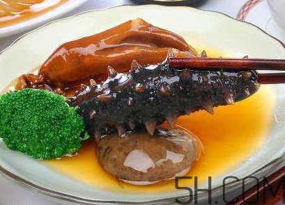 海參是海鮮嗎？海參是動物還是植物？