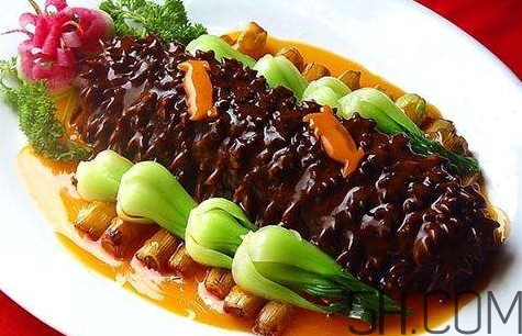 海參是高蛋白食物嗎？海參是素食嗎？