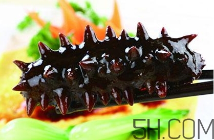 海參是高蛋白食物嗎？海參是素食嗎？