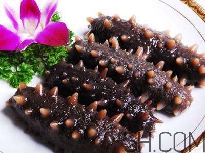 海參是高蛋白食物嗎？海參是素食嗎？