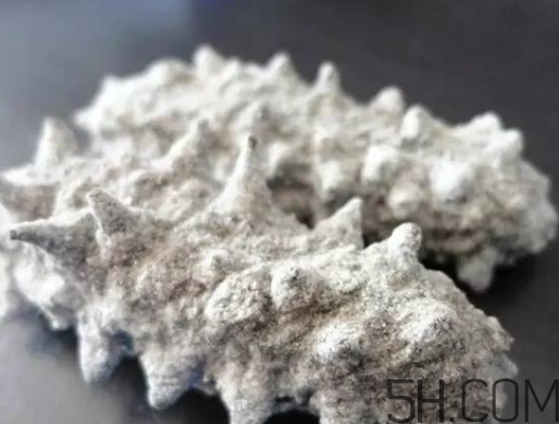 海參顏色深好還是淺好？海參顏色發(fā)白時(shí)怎么回事？