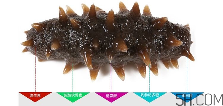 海參哪些部位不能吃？海參的禁忌人群