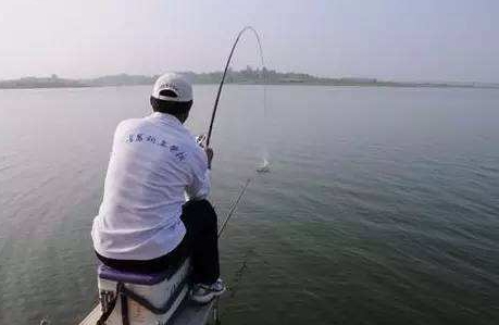 大蒜泡酒能釣魚嗎？大蒜泡酒釣魚的方法