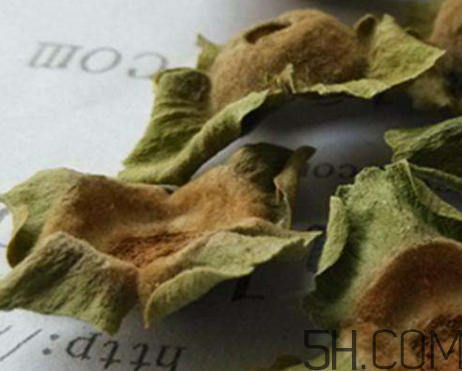 柿蒂治打嗝怎么煮水？柿蒂的功效與作用