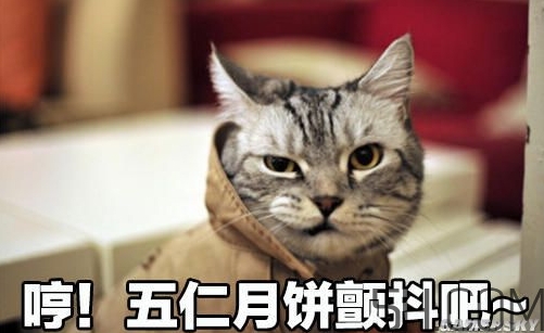 十仁月餅是哪十仁？十仁月餅好吃嗎