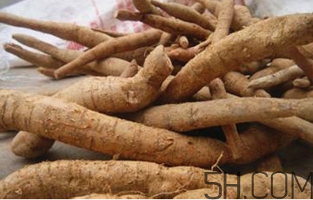 牛蒡用去皮嗎？牛蒡茶什么時(shí)候喝最好