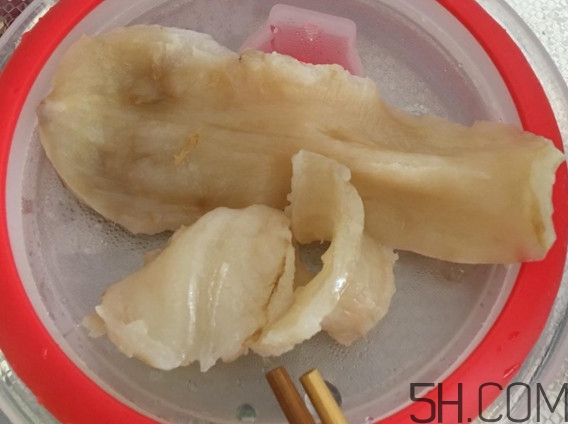 魚膠是魚泡嗎？魚膠是海鮮嗎