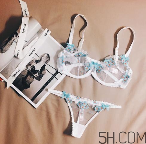 agent provocateur什么價(jià)位？agent provocateur內(nèi)衣價(jià)格