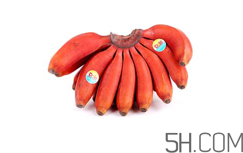 紅香蕉和普通香蕉的區(qū)別？香蕉可以放冰箱冷凍嗎？