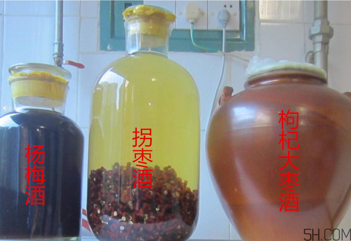 拐棗能泡酒嗎？拐棗能和蜂糖一起泡酒嗎？