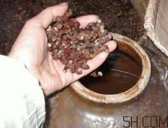 拐棗能泡酒嗎？拐棗能和蜂糖一起泡酒嗎？