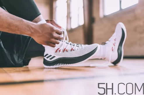 adidas dame 4多少錢？阿迪達(dá)斯利拉德四代上腳效果